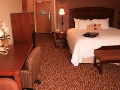 Hotel Hampton 3*